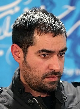 بیوگرافی شهاب حسینی 
